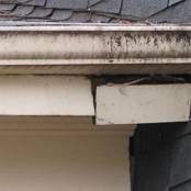 #16 Gutters (damage to fascia due to clogged gutters)
